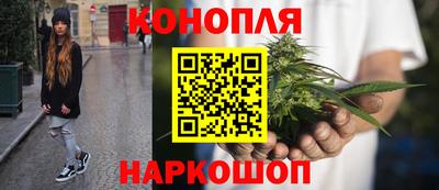 крисы Лесосибирск
