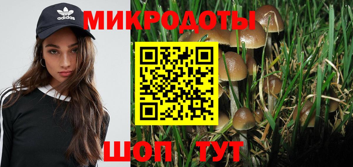 Псилоцибиновые грибы MAGIC MUSHROOMS Домодедово