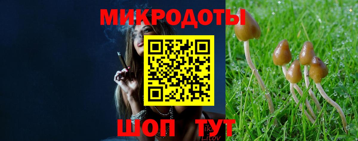 Домодедово  Галлюциногенные грибы прущие грибы  Вход с VPN 